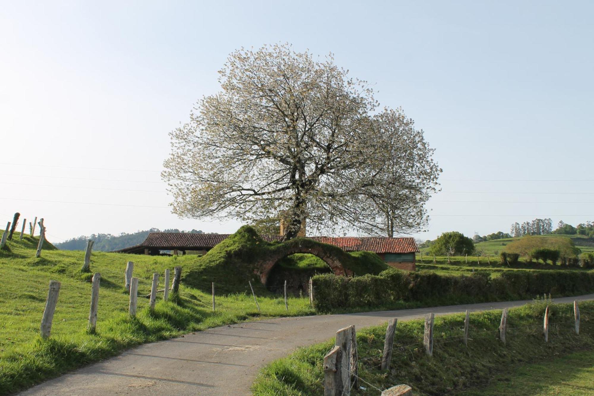 Вілла Casa De Aldea Monga 9 En Nava, Asturias Екстер'єр фото