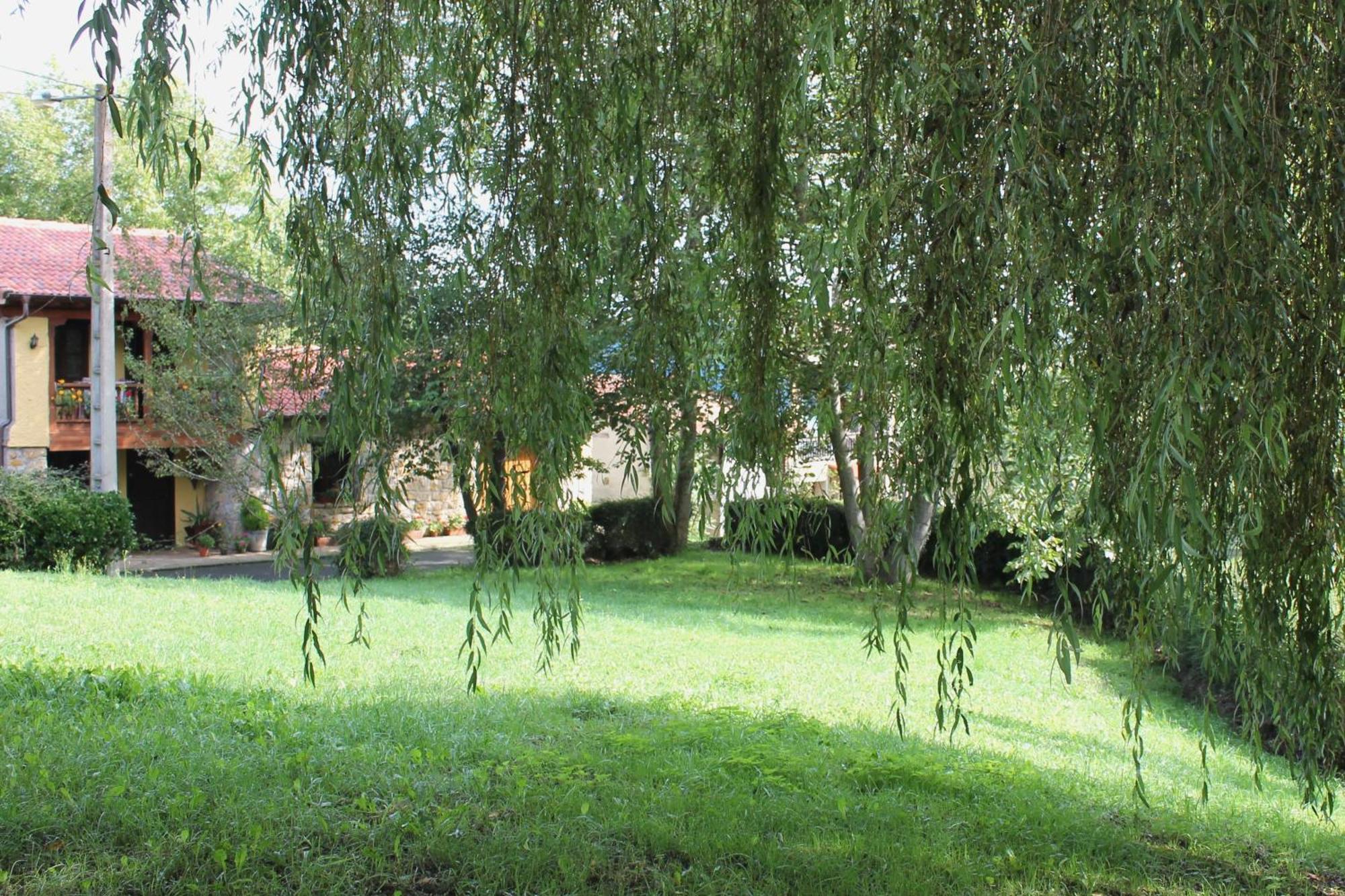 Вілла Casa De Aldea Monga 9 En Nava, Asturias Екстер'єр фото